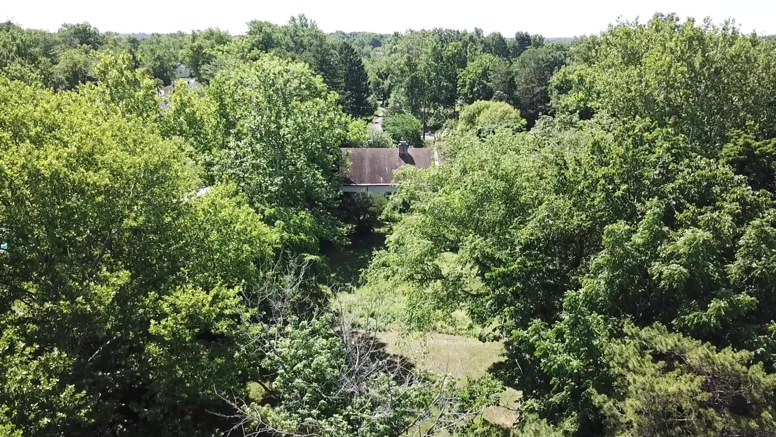 FLYOVER